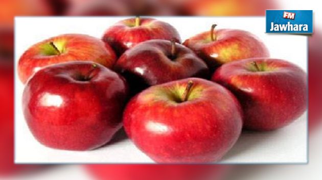 مجاز الباب : حجز 117 طنا من التفاح