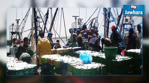 طالبوا بإلغاء حدود الصيد والتخفيض في المحروقات : بحارة قليبية يحتجون