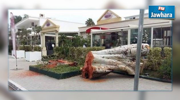 زياد الهاني : النيابة الخصوصية بقرطاج لم يتم حلها بسبب شجرة 