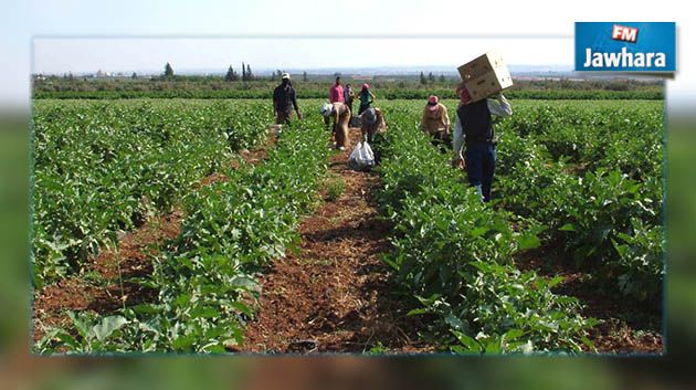 حسين الديماسي : بالأرقام ..قطاع الفلاحة هو الوحيد الذي ازدهر خلال 5 سنوات الأخيرة     