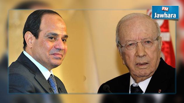 السيسي يؤكد تضامنه مع تونس في حربها ضدّ الإرهاب