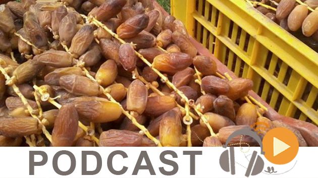 بزنس نيوز ليوم السبت 12 مارس 2016 