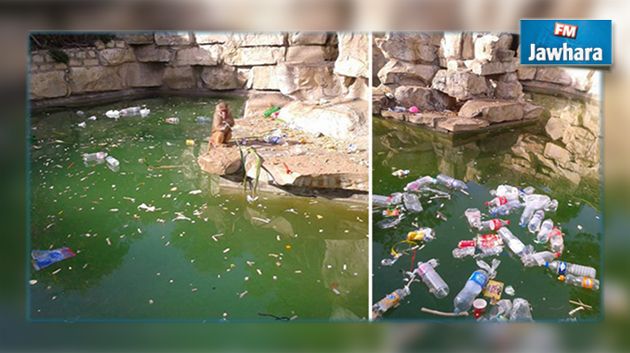 مدير حديقة البلفيدير : تراكم الأوساخ سببه المواطنون