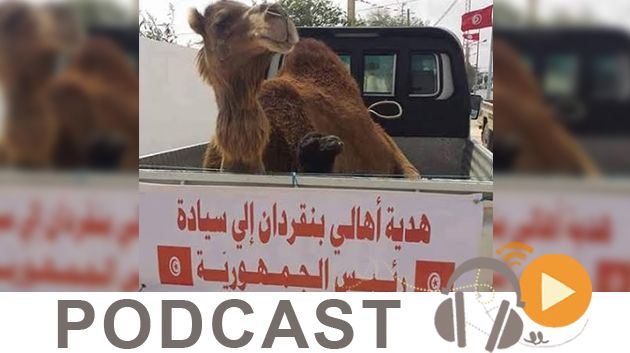 نبّار نيوز ليوم الثلاثاء 12 أفريل 2016