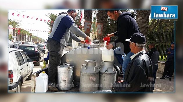 إتلاف 300 ألف لتر يوميا : أزمة الحليب تتواصل