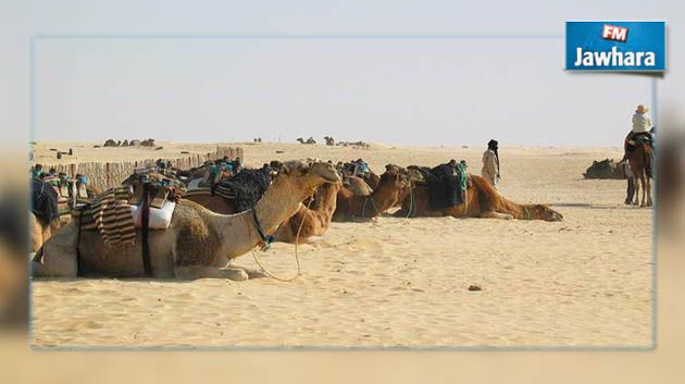 فقدت ابنها بسبب العطش : عائلة فرنسية تحفر بئرا في صحراء دوز