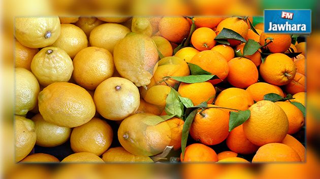 وزير التجارة : إحداث سوق إنتاج وطني للقوارص بمنزل بوزلفة