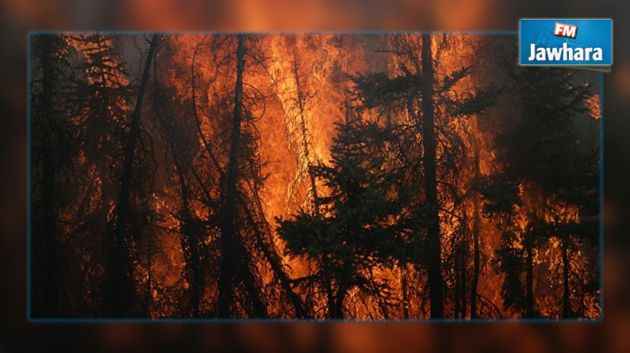 كندا : حرائق الغابات تستعر وتخرج عن السيطرة 