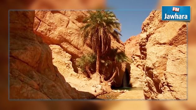 مبادرة