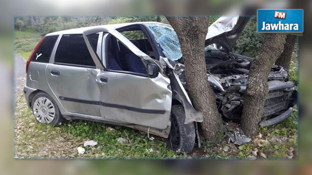 النفيضة : وفاة شاب في اصطدام سيارة بشجرة
