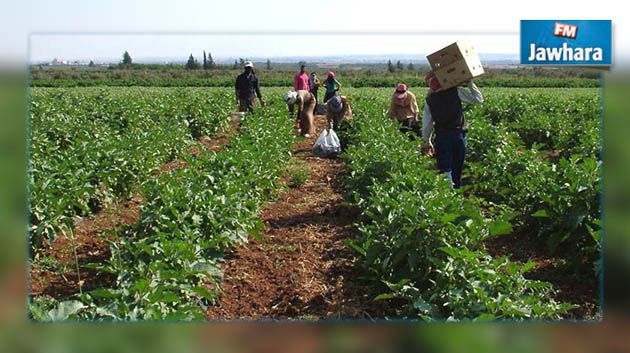 تعويضات للفلاحين بقيمة تجاوزت 16 مليون دينار 