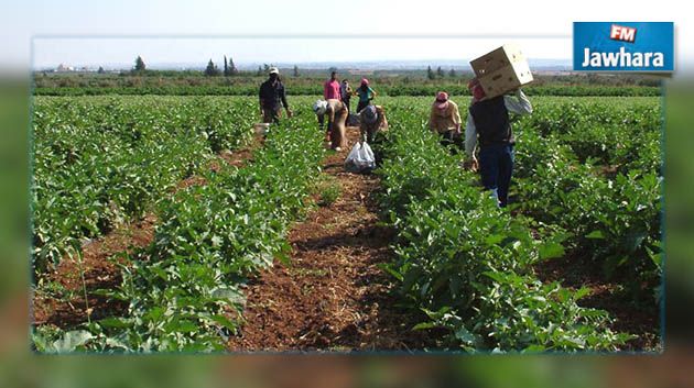 تعويضات للفلاحين بقيمة تجاوزت 16 مليون دينار