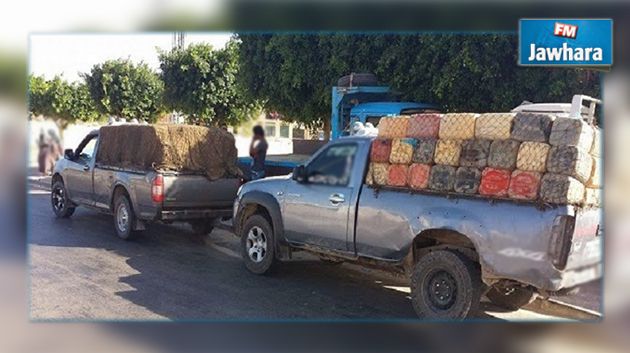 قبلي : القبض على مهرب محكوم بالسجن لمدة 244 سنة