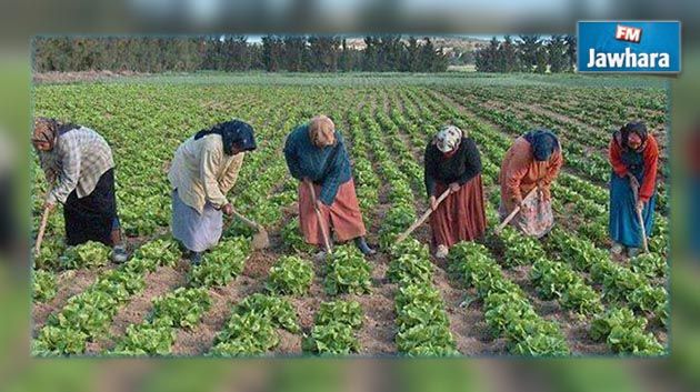 وزيرة المرأة : 85% من النساء في الوسط الريفي يعملن دون أجور