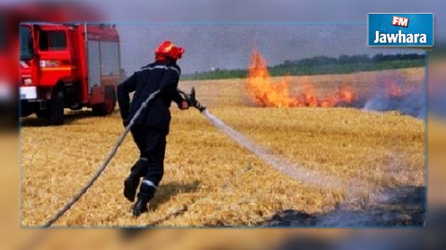 باجة : النيران تلتهم أكثر من 40 هكتارا من الحبوب في تبرسق