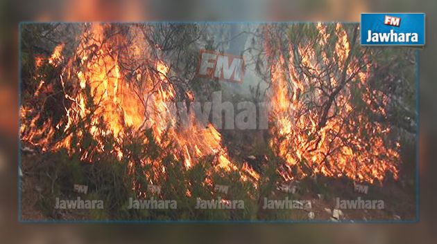   الكاف : اندلاع 3 حرائق متزامنة في جبال الطويرف