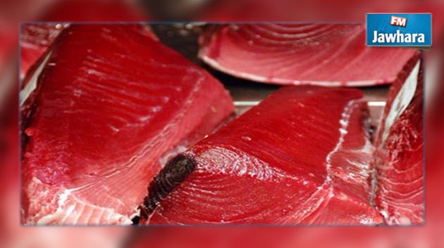 المنستير : حجز 5 أطنان من التن الأحمر