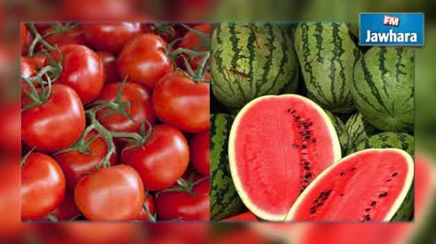 وزارة الفلاحة تصدر بلاغا بخصوص الطماطم والدلاع