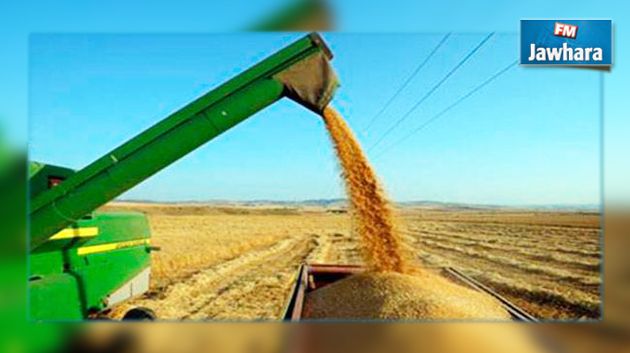 عمال الشركة التعاونية للحبوب بباجة في إضراب