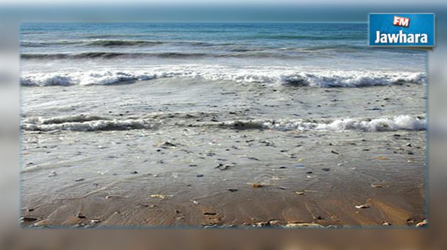 جمعية بيئية تشكك في تقرير لوزارة الصحة حول تحسن الشواطئ التونسية 
