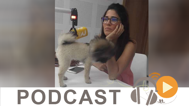 نبّار نيوز ليوم الأربعاء 20 جويلية 2016