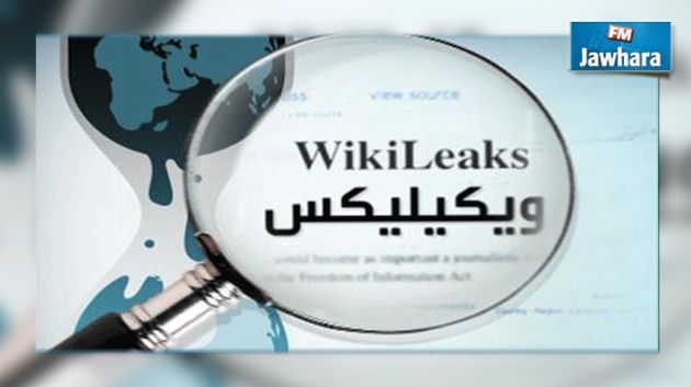 ويكيليكس ينشر آلاف الرسائل الاكترونية لحزب أردوغان