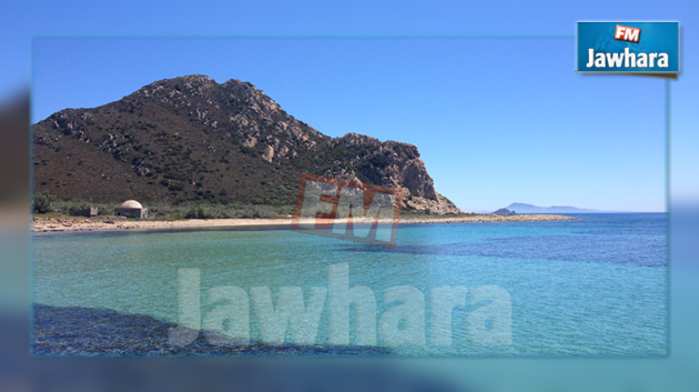 جزيرة