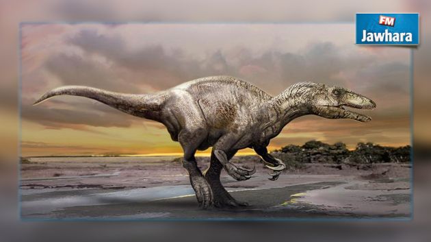 العثور على أثر لقدم ديناصور يفوق عرضها المتر 