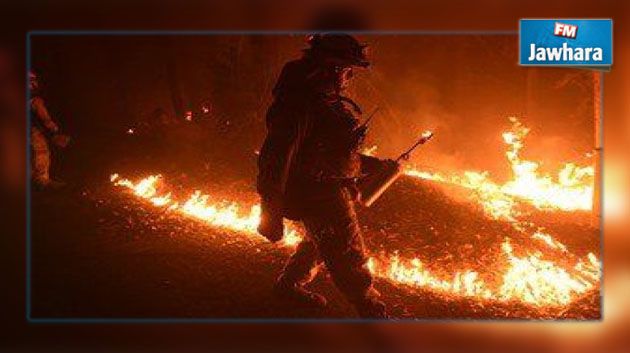 حريق يأتي على 175 منزلا وشركة في كالفورنيا