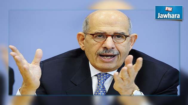 محمد البرادعي : حكومة يوسف الشاهد رسالة مشجعة من العالم العربي