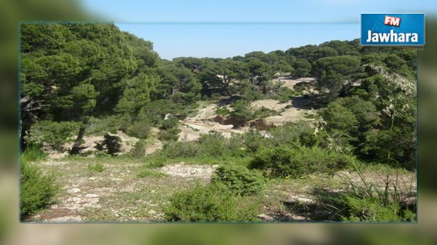 جندوبة : مسيرة احتجاجية بسبب إحتجاز السلط الجزائرية 6 أعوان غابات