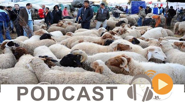 نشرة أخبار منتصف الليل ليوم الاثنين 29 أوت 2016