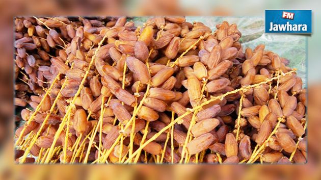كتابة أملاك الدولة والشؤون العقارية تحذر من إعلان بيع صابة تمور بقبلي