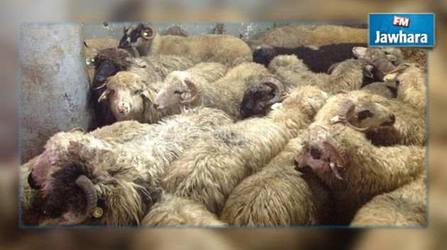 في عيد الأضحى : مهن تزدهر وأبوابُ رزقٍ تُفتح