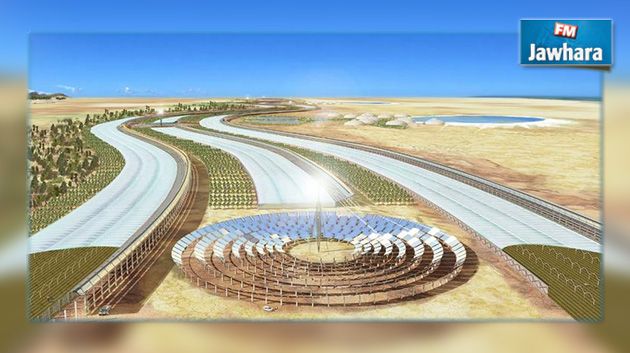 شركة نرويجية تخطط لتشجير مساحات شاسعة من الصحراء التونسية
