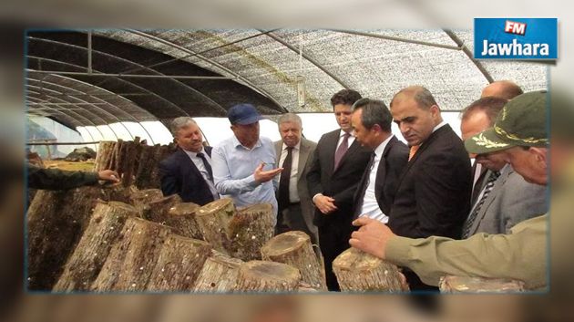 هبة كورية بحوالي 4 مليون دينار لعدد من مجامع التنمية بجندوبة
