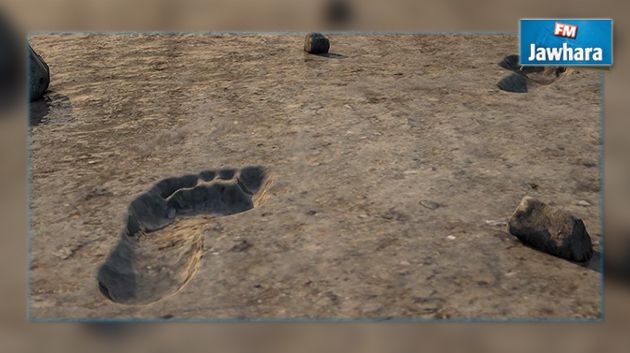 اكتشاف آثار أقدام بشرية نادرة تعود لـ20 ألف عام