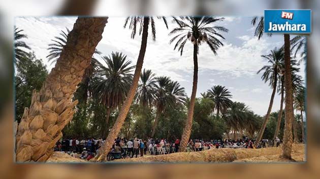 جمنة : أطراف سياسية تحاول التشويش على هذا الملف