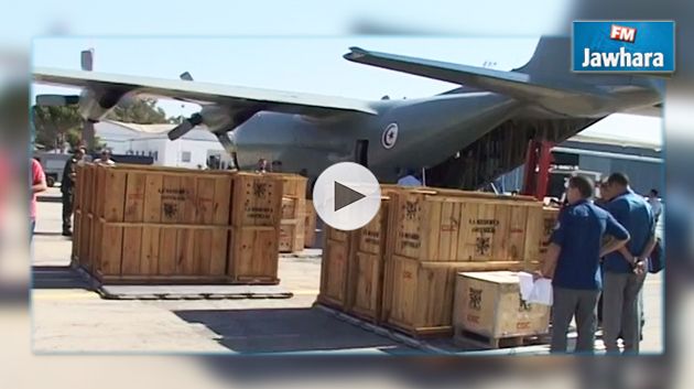 وصول أول دفعة من غزال الأطلس من إسبانيا لإعادة توطينها في تونس (فيديو)