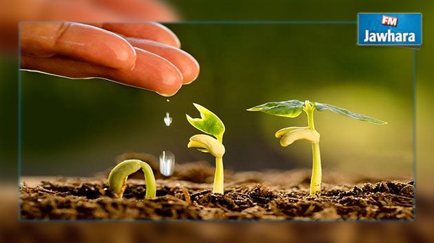 صناديق دعم بقيمة 250 مليون دينار لفائدة الباعثين الشبان