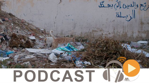 نبّار نيوز ليوم الاربعاء 26 أكتوبر 2016