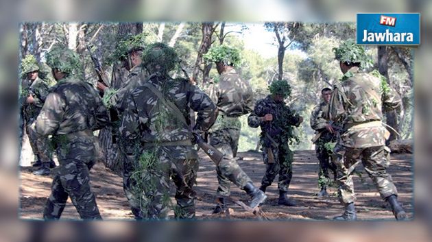 تدمير 14 مخبأ للإرهابيين في الجزائر