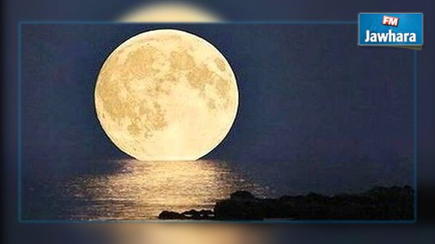 قريبا : ظهور
