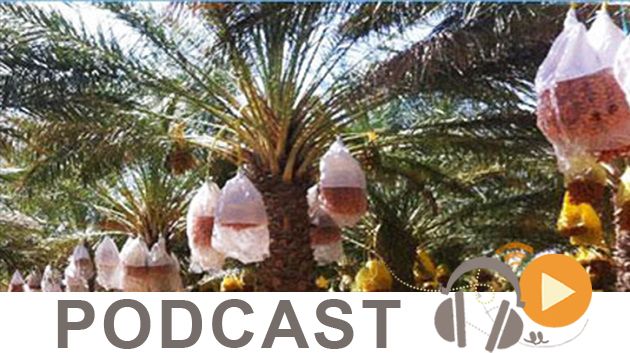 نشرة أخبار السابعة مساء ليوم الاثنين 14 نوفمبر 2016