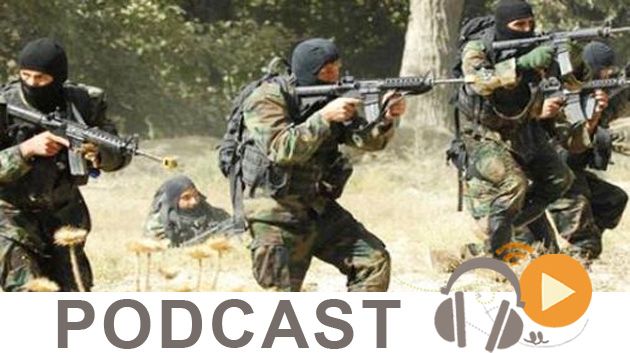 نشرة أخبار السابعة مساء ليوم الثلاثاء 15 نوفمبر 2016