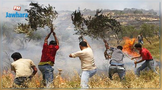 مشاعر مختلطة للفلسطينيين تجاه الحرائق الإسرائيلية