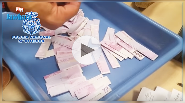 هولندية تبتكر طريقة غريبة لتهريب الأموال..(فيديو)