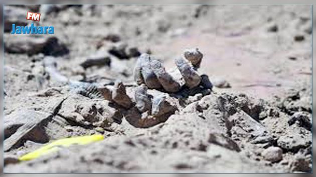 بنما : العثور على 6 جثث في مقبرة جماعية