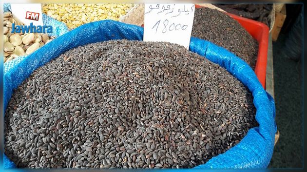سموم في الزقوقو : وزارة الصحة توضح