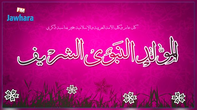 ألفة يوسف : ظاهرة 